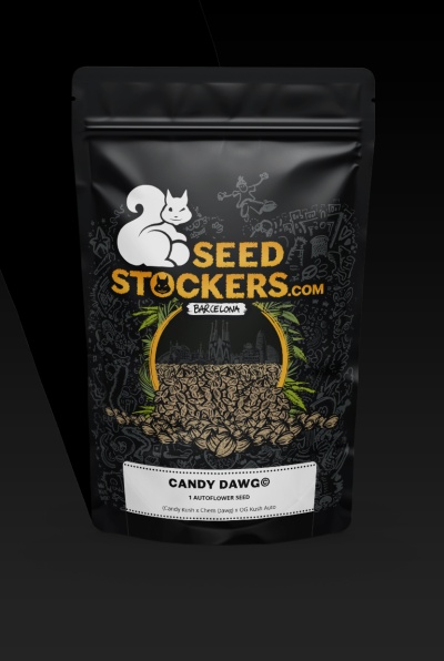 картинка Candy Dawg Auto от магазина Semki