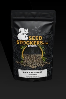 картинка Mack & Crack Auto от магазина Semki